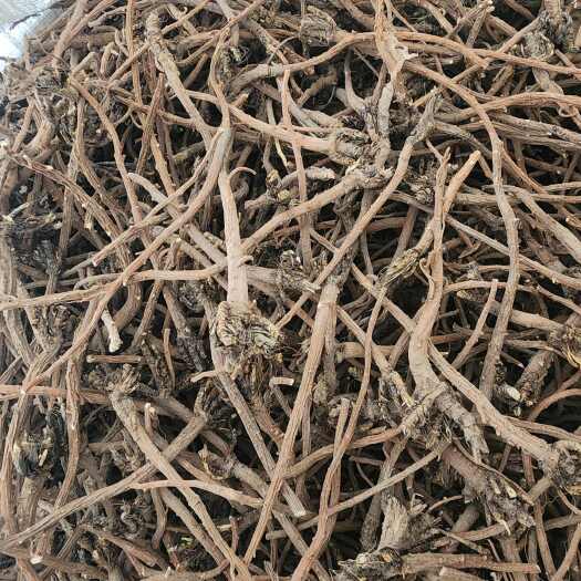 正宁县中药材北柴胡根茎类甘肃庆阳发货源头好货