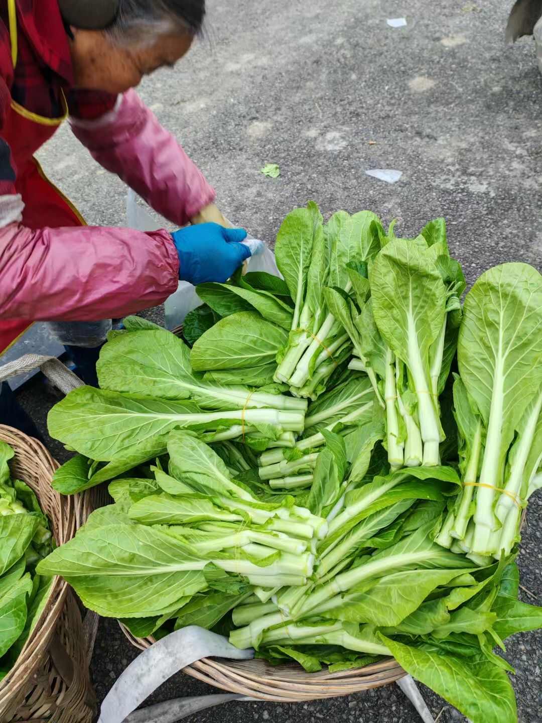 白菜苔