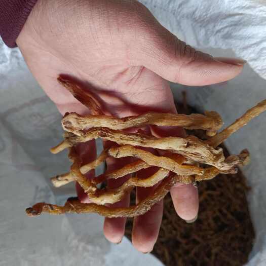 鞍山东北玉竹熟货，电商供货品质，非统货
