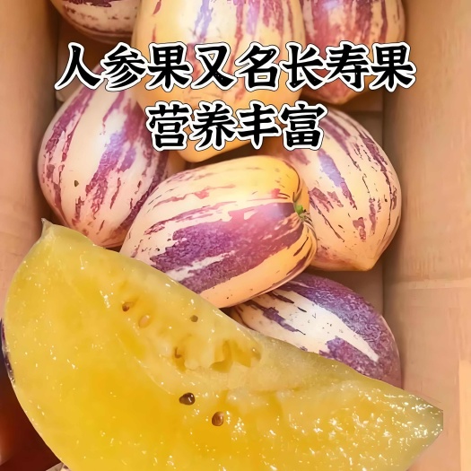 民勤县甘肃民勤沙漠人参果，专业代办，专业代发，产地直销！