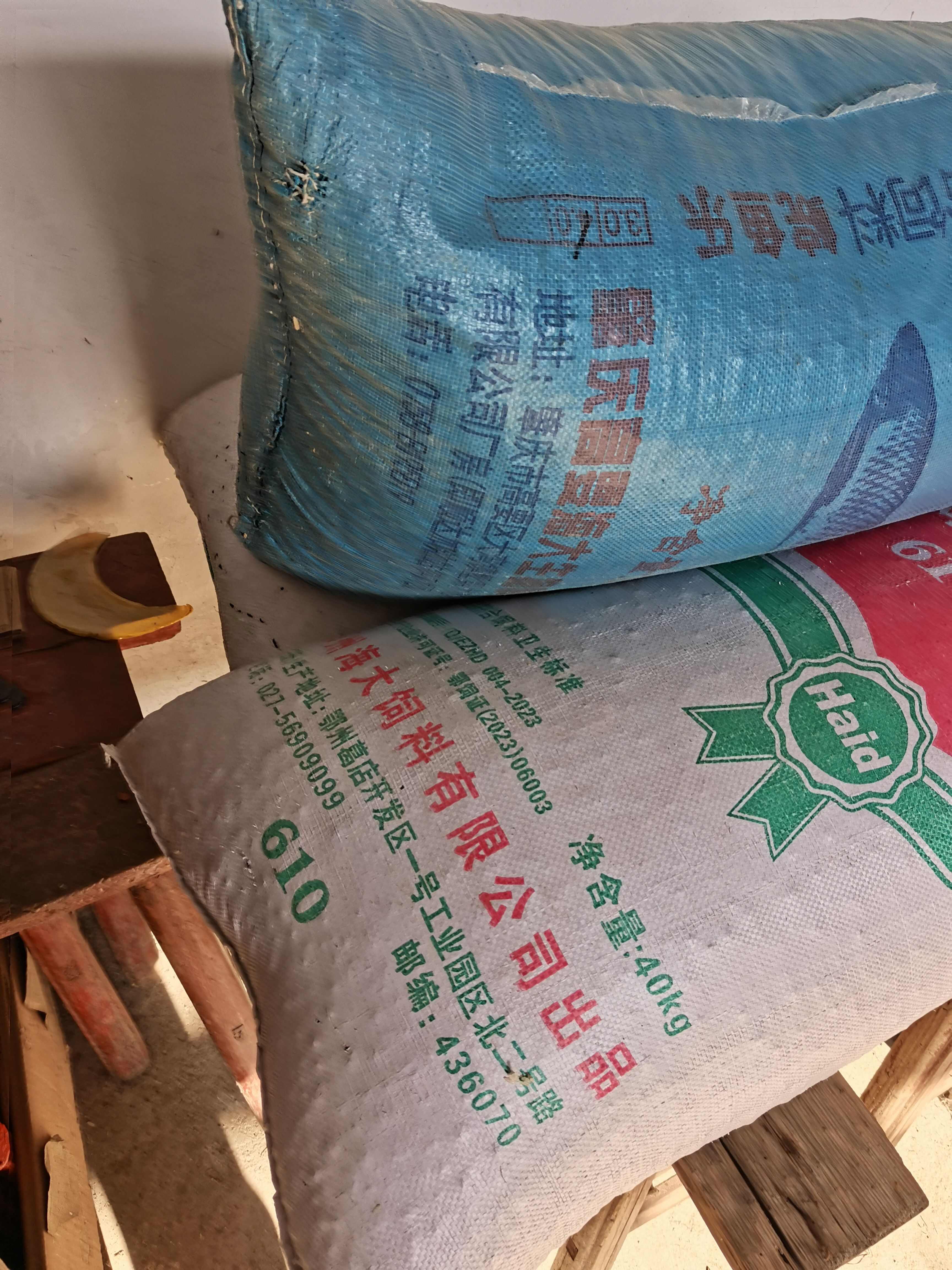 本地野生茶子 自用量少