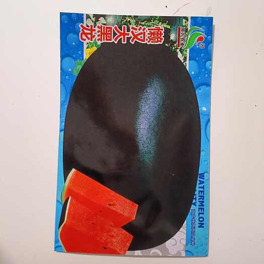 懒汉大黑龙西瓜种子黑皮西瓜种子