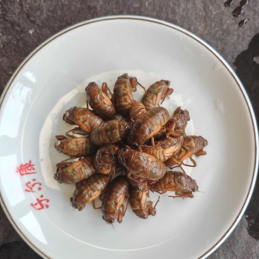 杜仲小金蝉。瓶装现货，直接拍