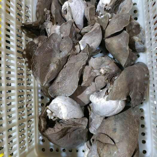 巴彦淖尔熟羊肺