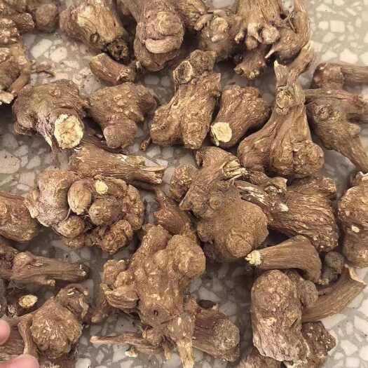 白术，改良大白术，山坡地种植的白术，产自江西赣州