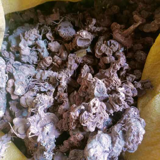 巫山八角莲