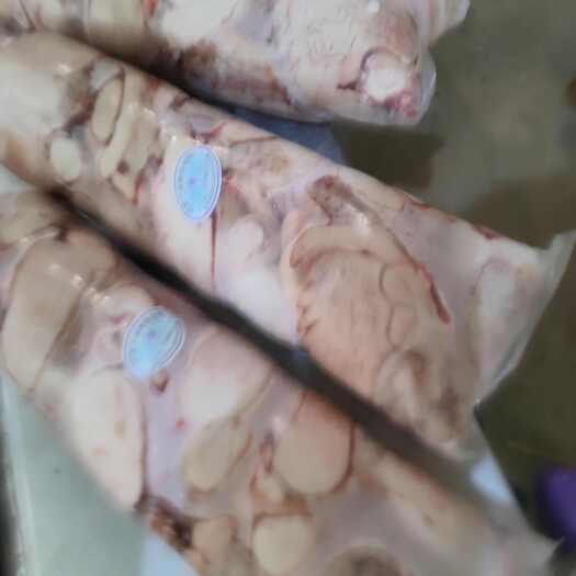 阳信县清真精修羊宝