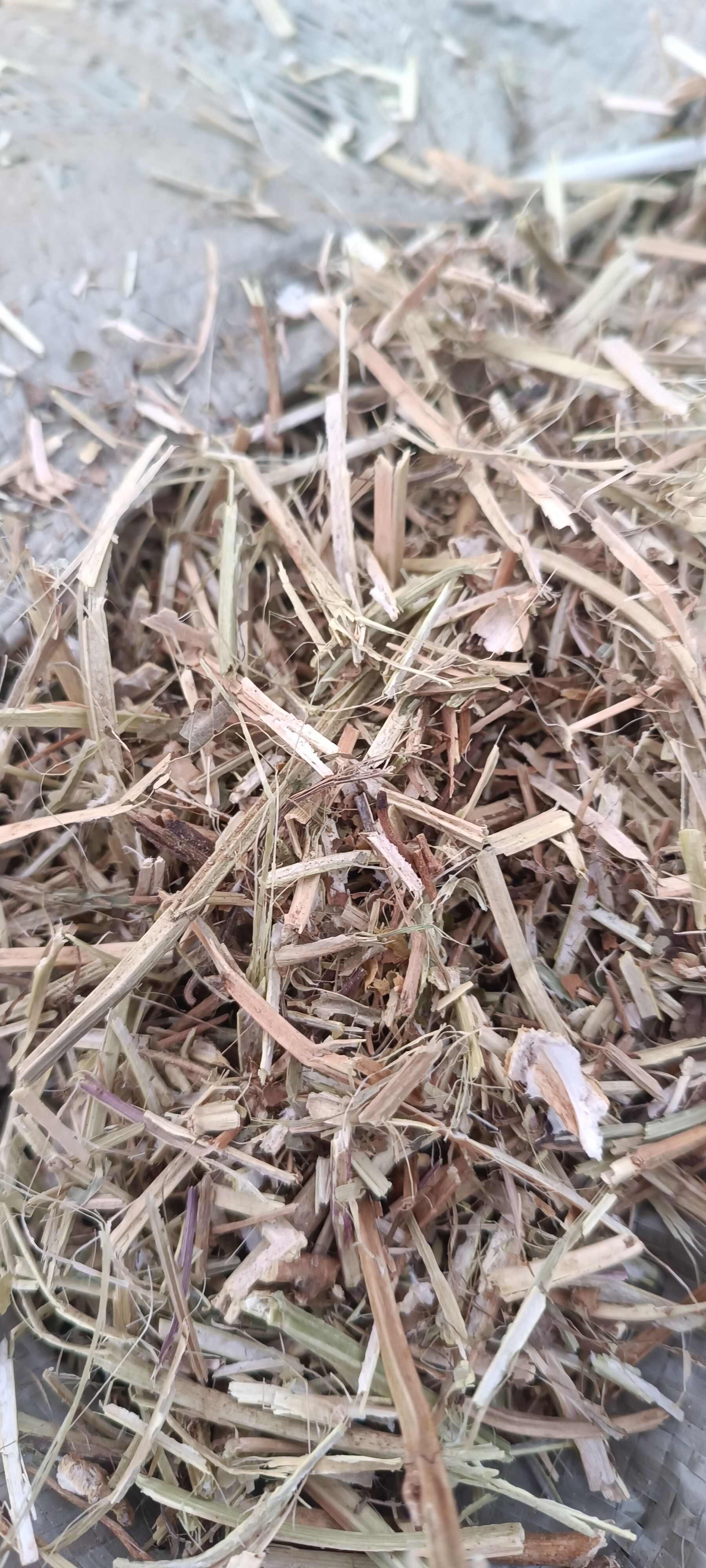 大家好，我来自河南驻马店。专业销售花生秧和小麦秸秆质量特别好