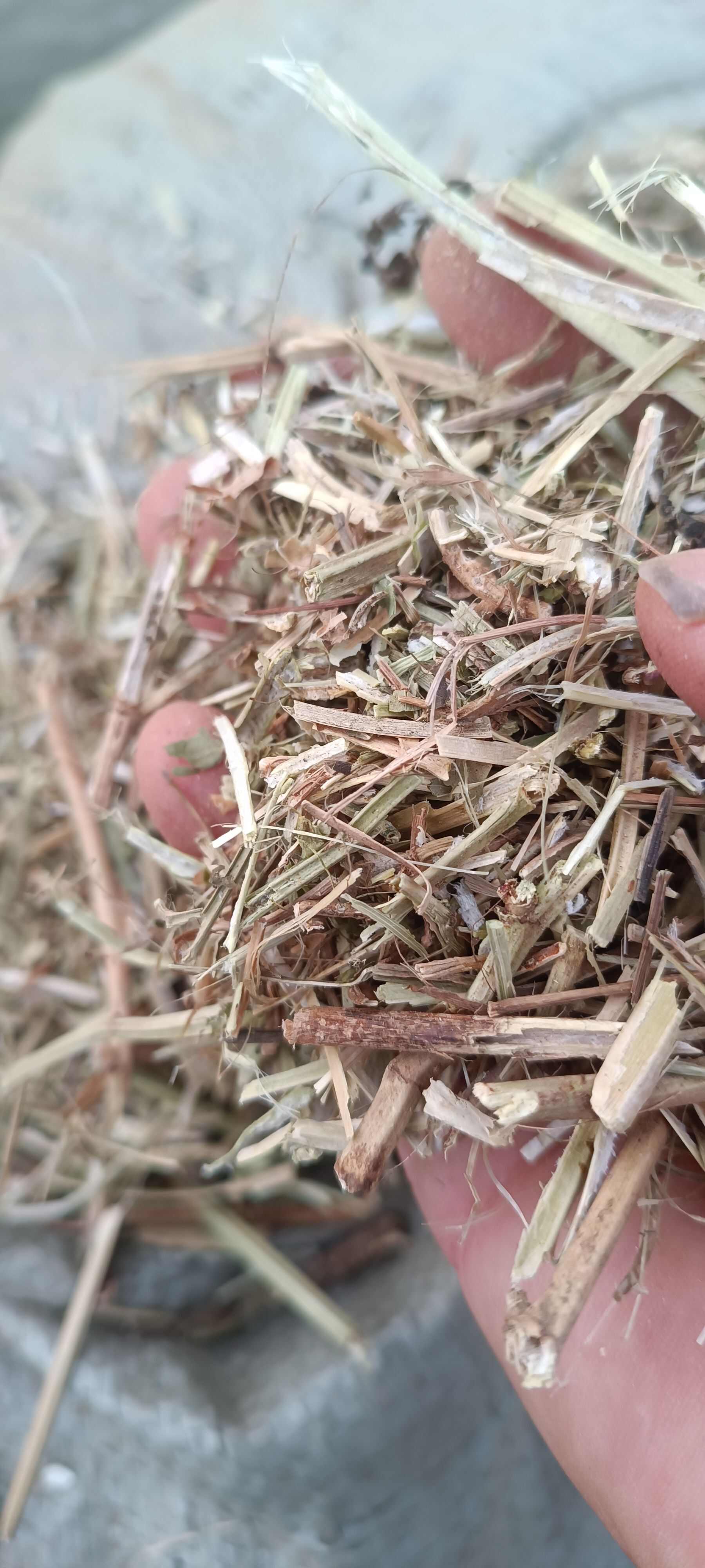 大家好，我来自河南驻马店。专业销售花生秧和小麦秸秆质量特别好