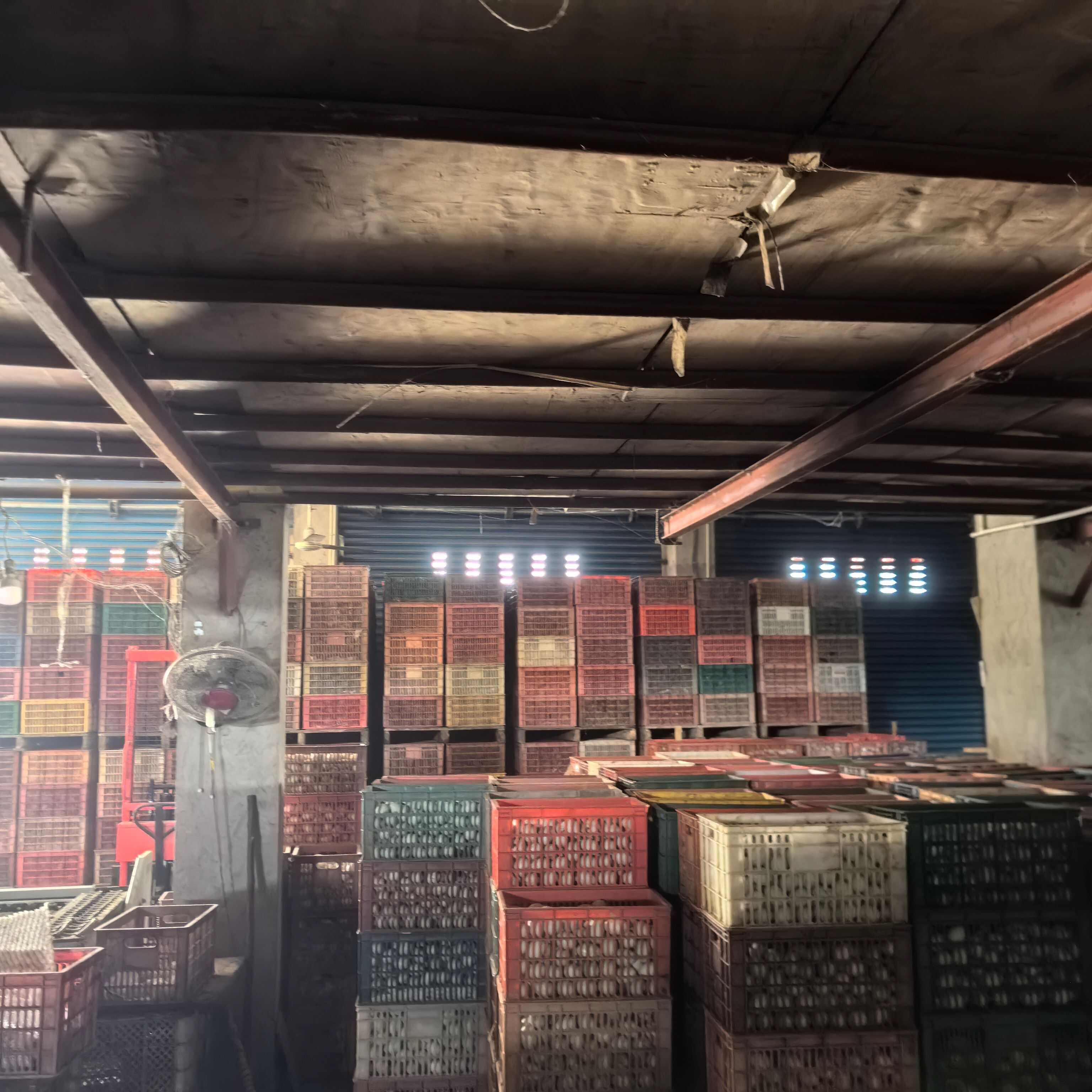 大号中号鲜鸭蛋，皮蛋，咸鸭蛋，蛋黄，大厂在广安，按需可谈价格