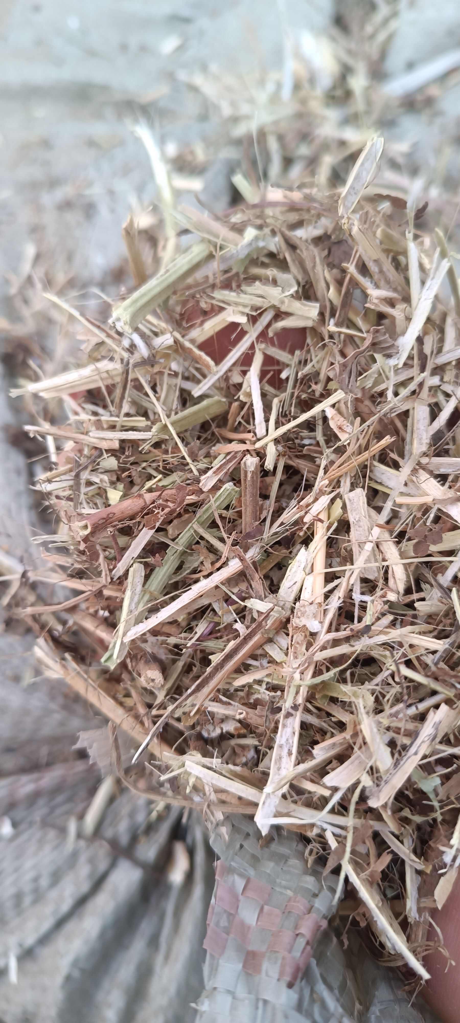 大家好，我来自河南驻马店。专业销售花生秧和小麦秸秆质量特别好