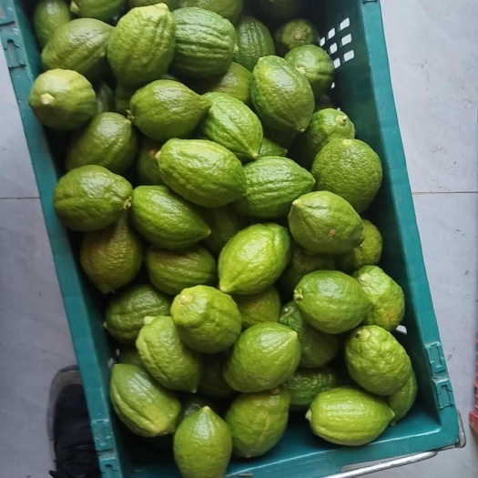巍山县广东香水柠檬产地直发