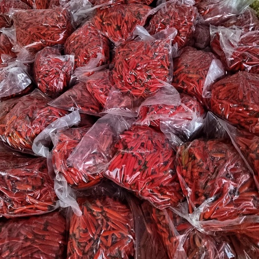 楚雄市云南朝天椒红米椒泡椒基地直发，价格实惠欢迎各位老板洽谈