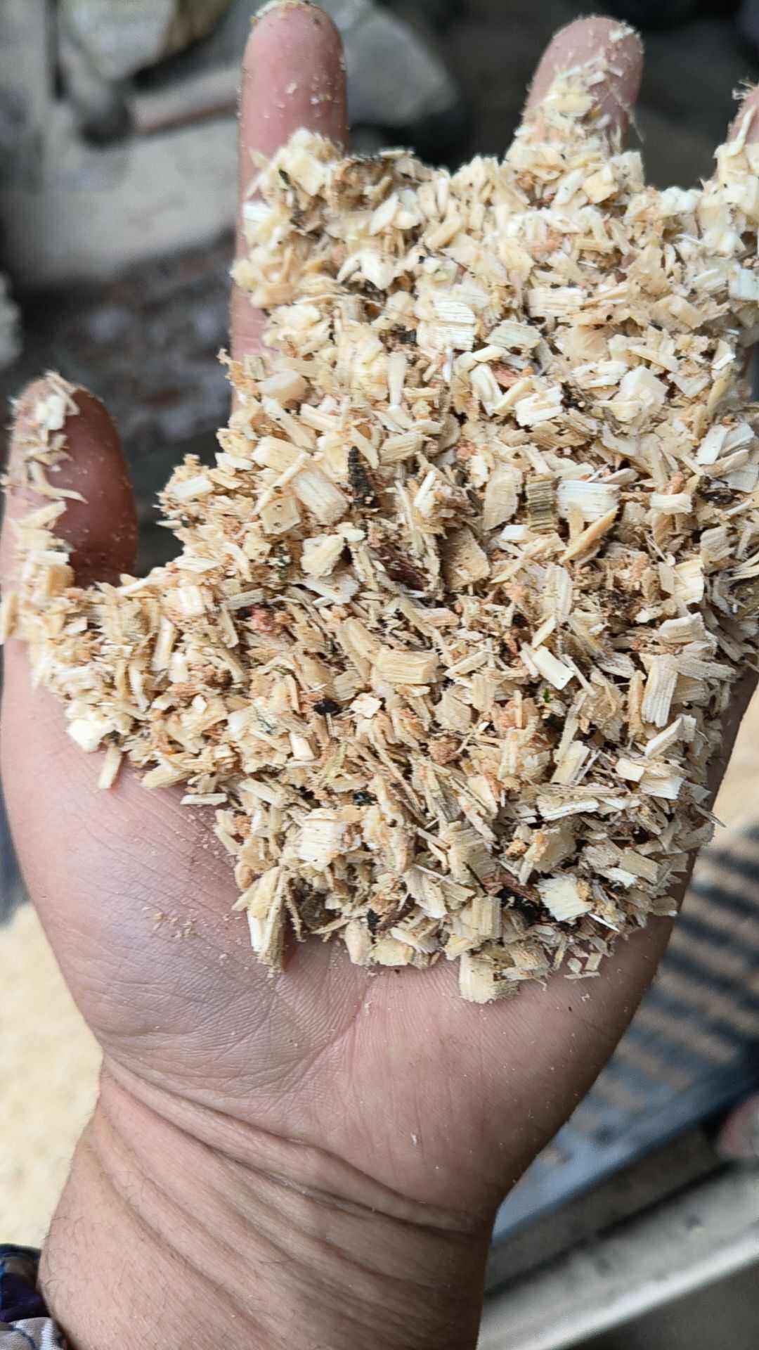 食用菌木屑