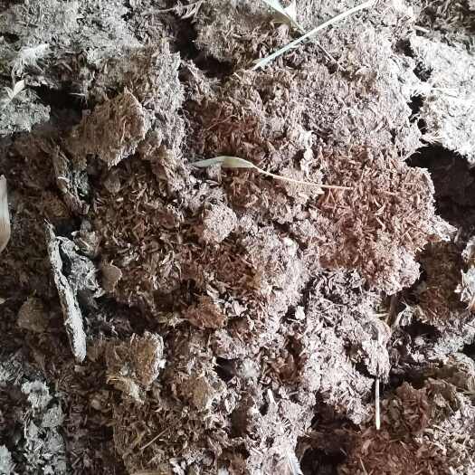 新兴县常年出售干鸡粪 适合各种瓜果蔬菜