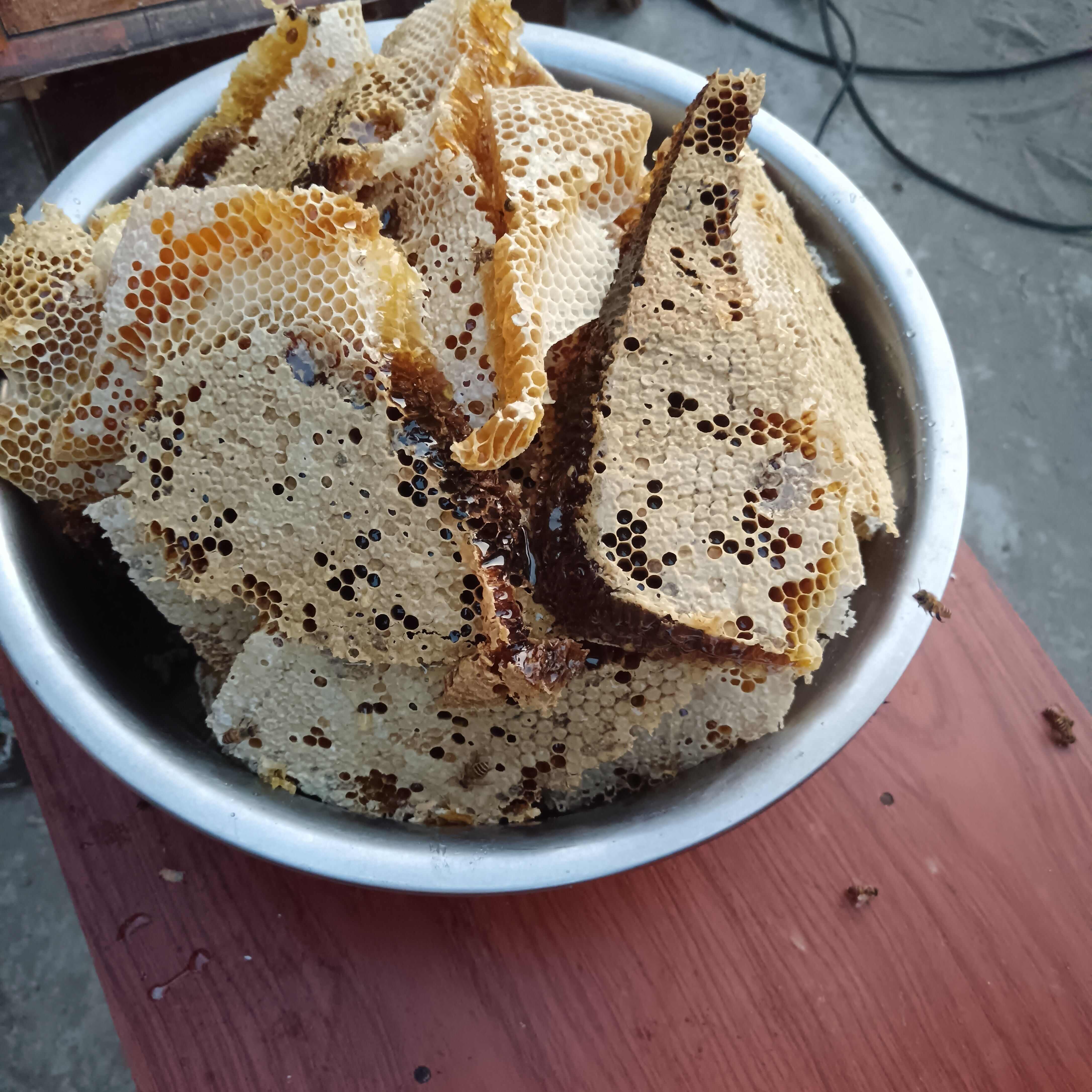 重庆云阳土蜂蜜 保质期24个月以上 新鲜营养滋补 农副加工品