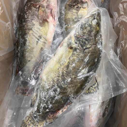郑州三去桂花鱼