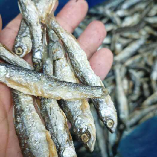 宜昌刁子鱼干 油炸刁子  8一12公分左右油炸白条蓝刀餐条