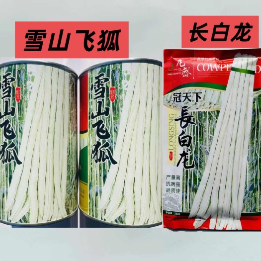 豆角种子冠天下长白龙白玉豇豆种子早熟抗寒耐热耐湿春秋均可栽培