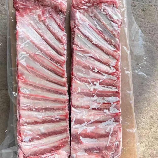 郑州羔羊标排