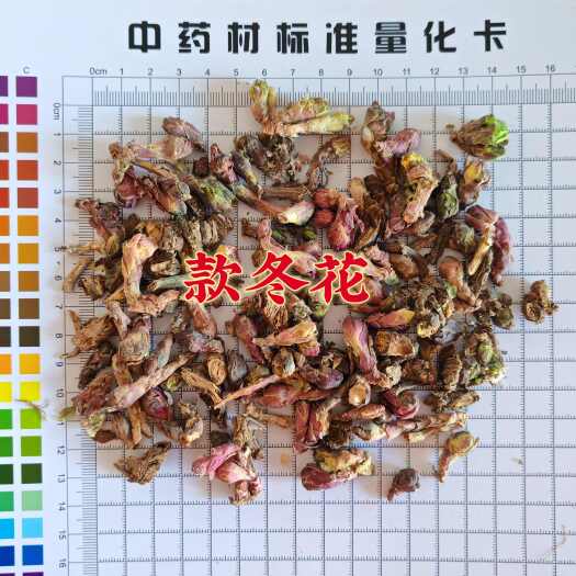 鄄城县【永发药业】款冬花 精选冬花 新货 颜色好1公斤起批