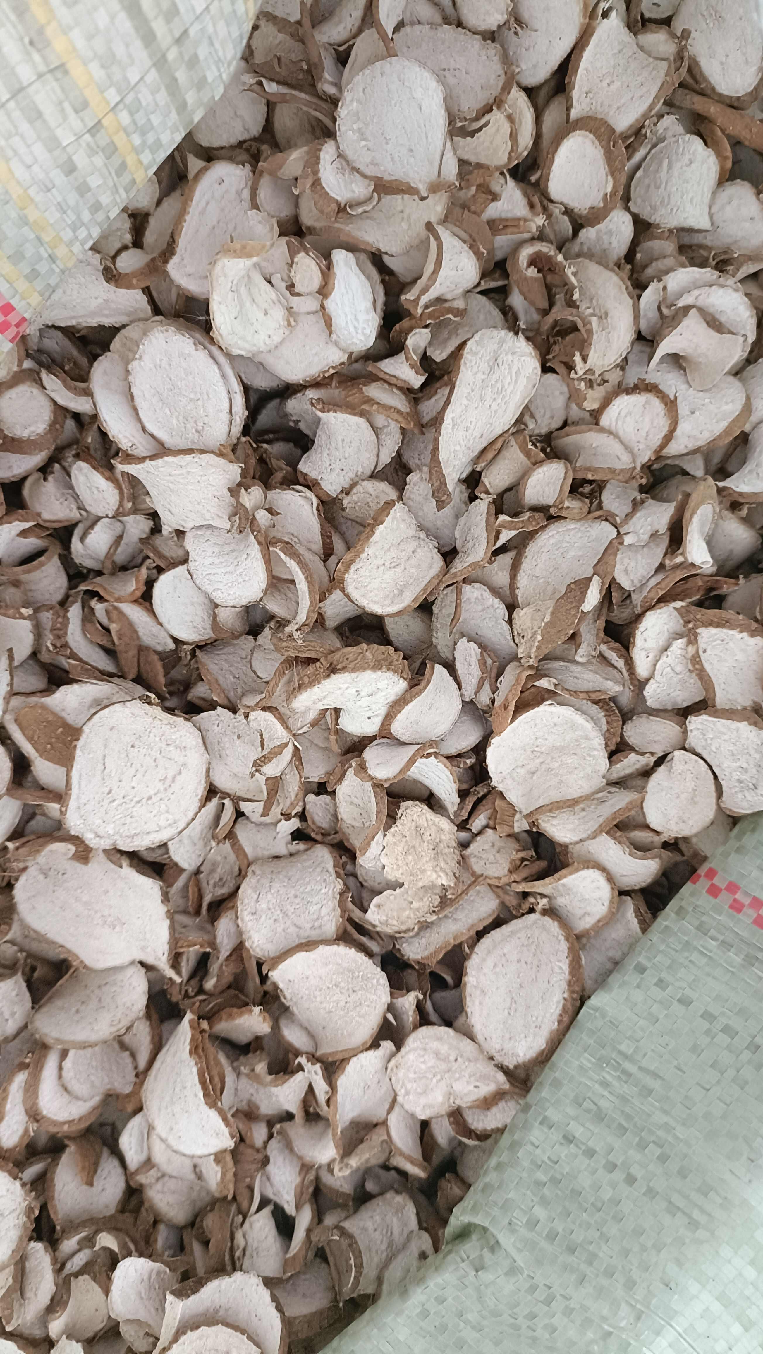 罗汉参，手工切片