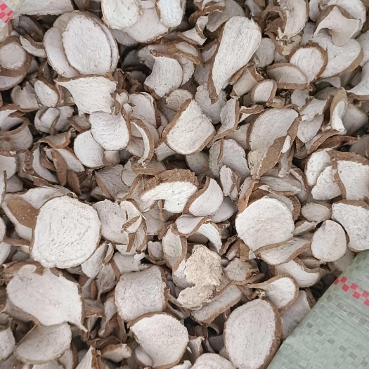 罗汉参，手工切片