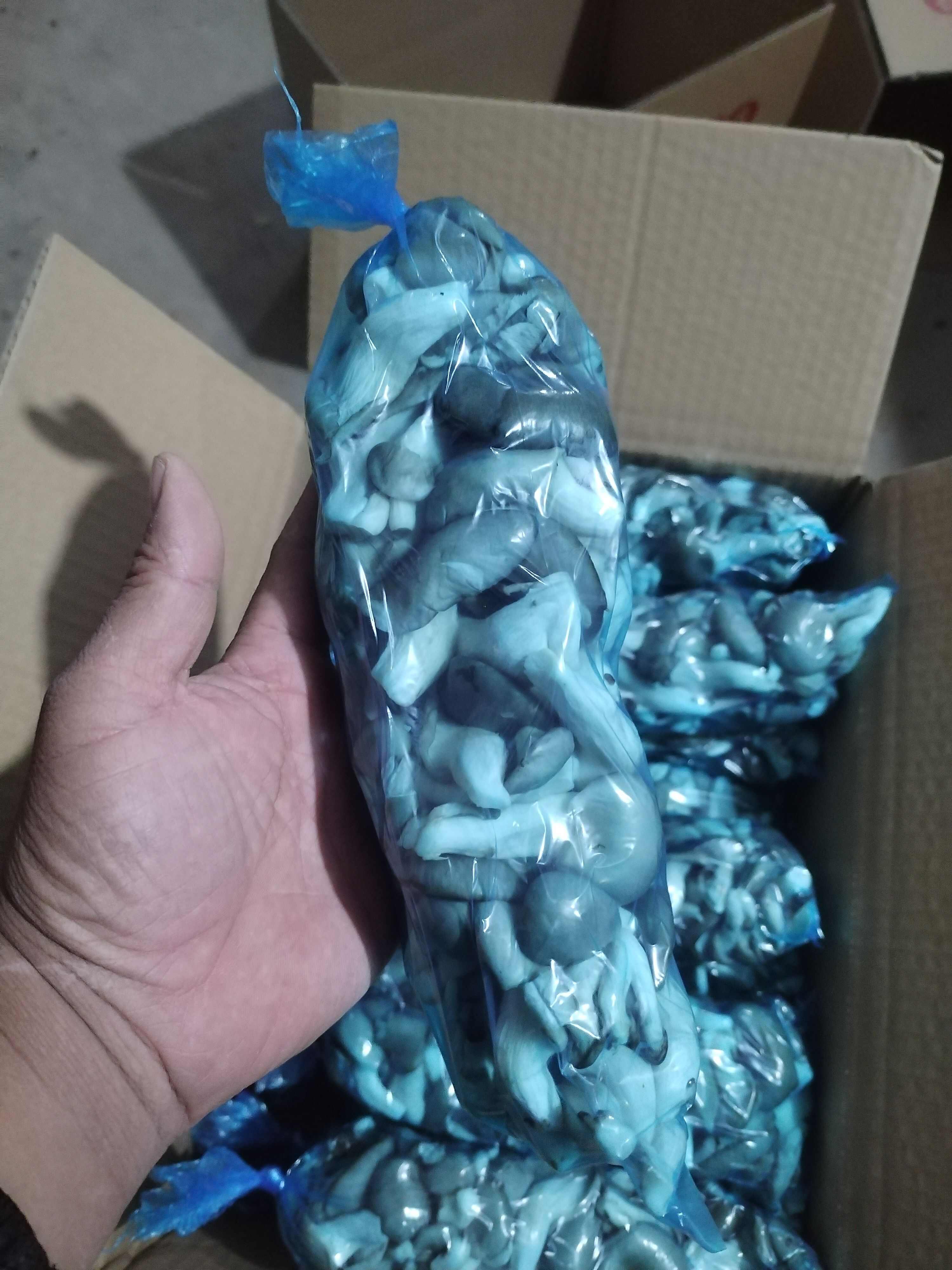 秀珍菇，产地直发。