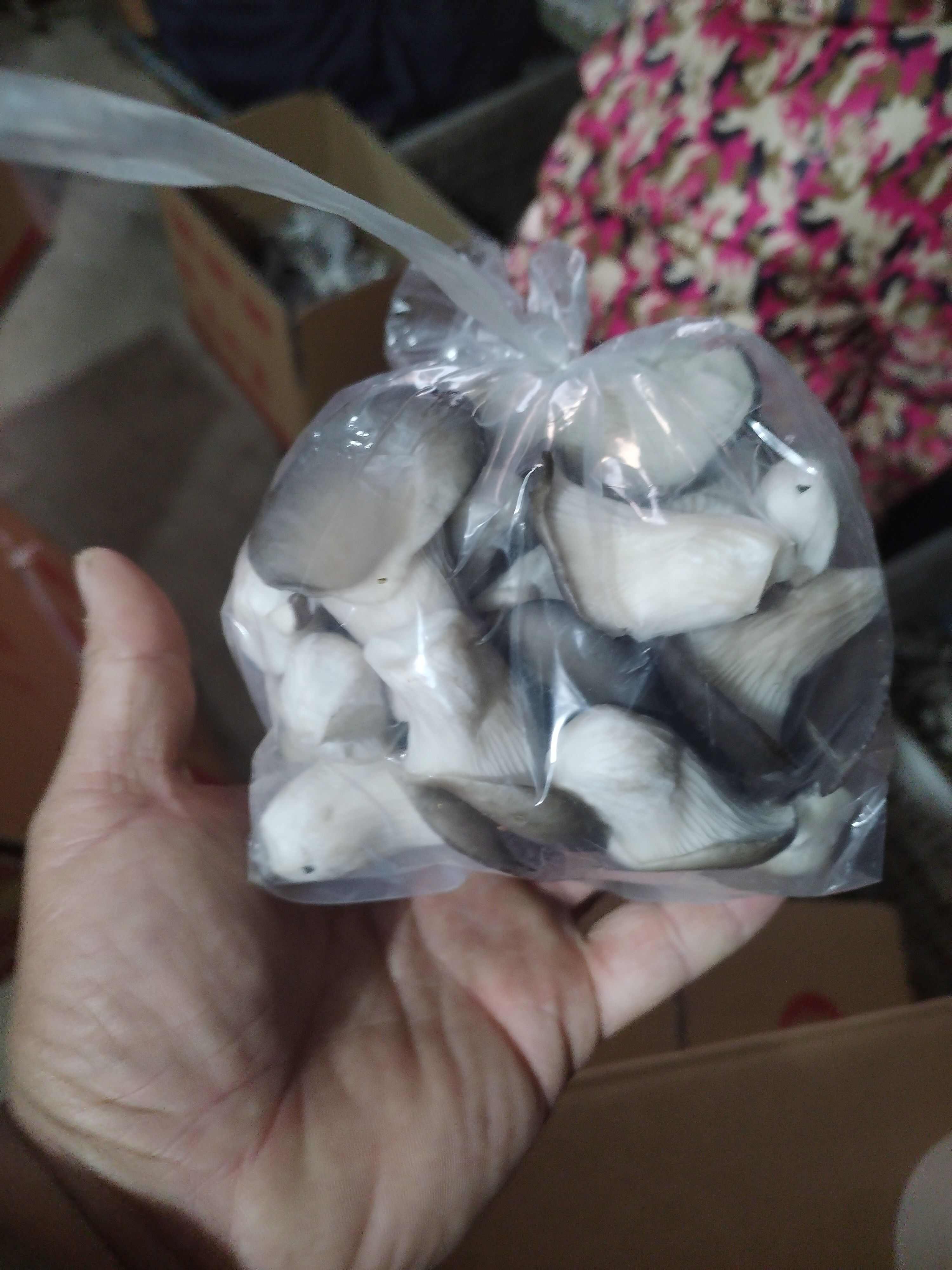 秀珍菇，产地直发。