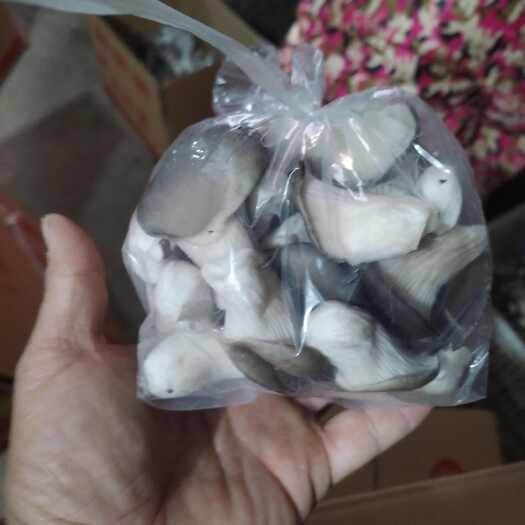 赵县秀珍菇，产地直发。
