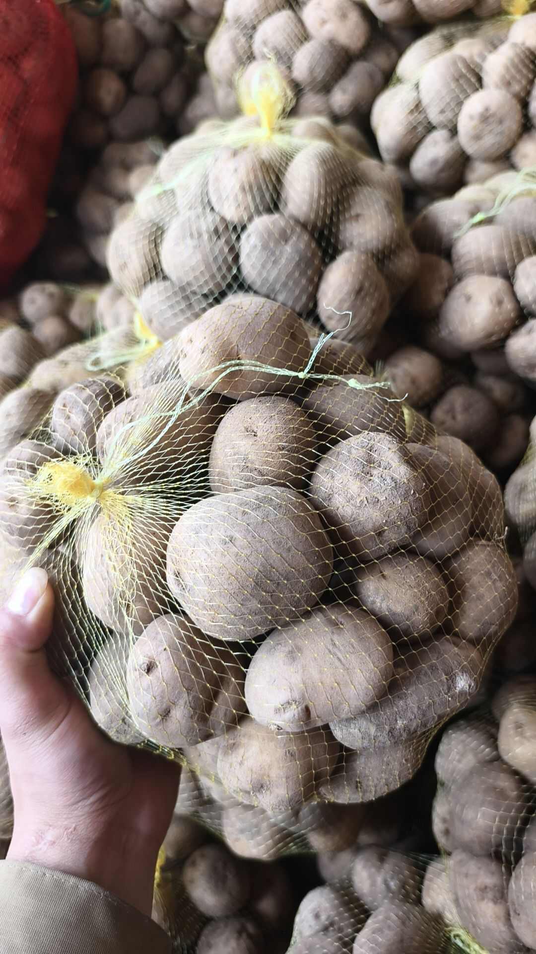 恩施土豆      软糯香浓  黄皮黄心  天然含硒