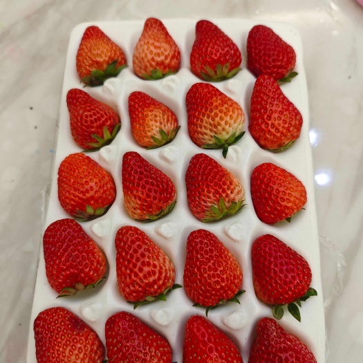 丹东红颜九九草莓，小果，中果，大果