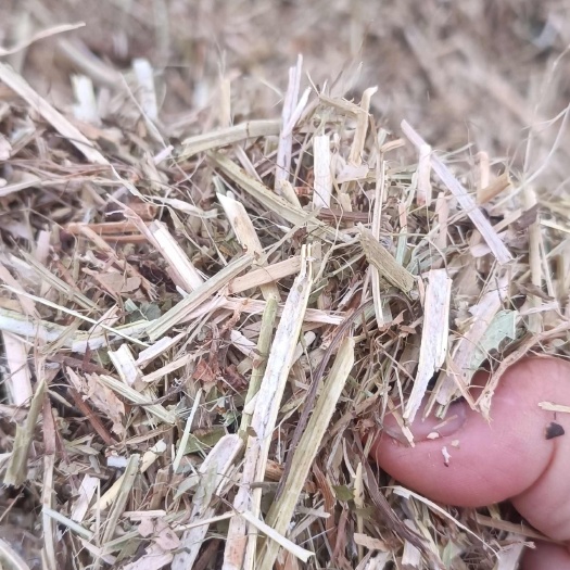 正阳县马牛羊草料花生秧秸杆 无土无膜无霉变干的扎手需要的老板请联