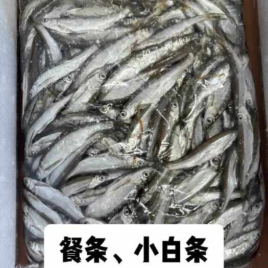 大白条，可破肚冰鲜发货,也可鱼干发货