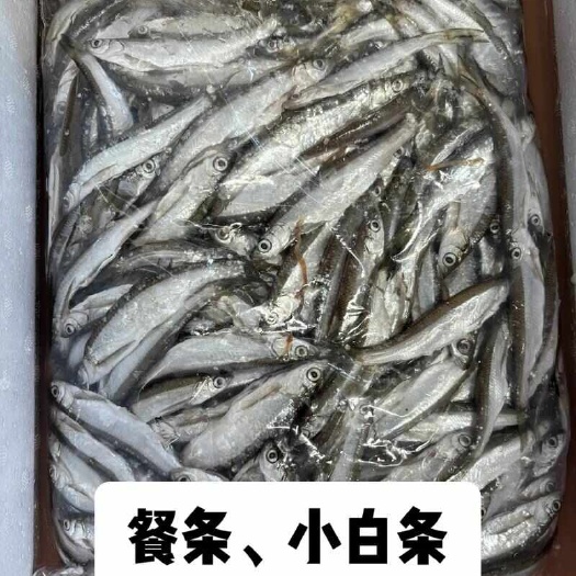 忠县大白条，可破肚冰鲜发货,也可鱼干发货
