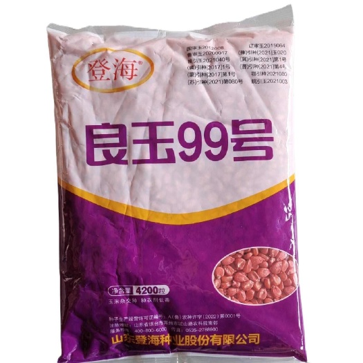 襄樊登海良玉99，总部全新籽粒
