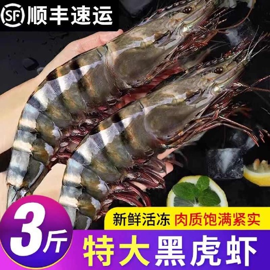 【特大号】黑虎虾超大新鲜黑虎虾鲜活大虾海捕斑节虾海虾草虾冻虾