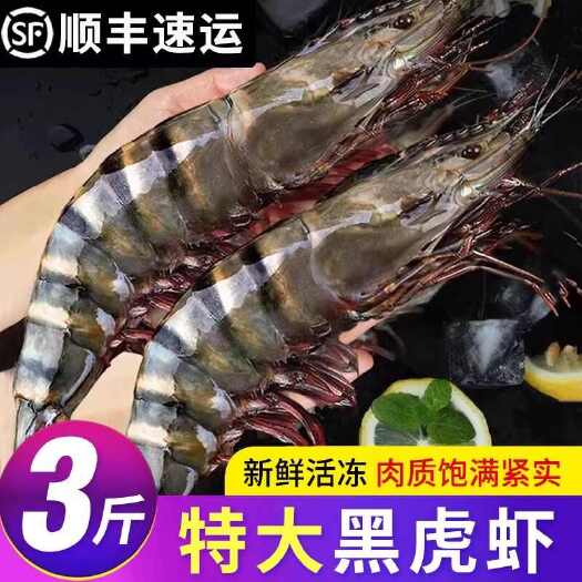 青岛【特大号】黑虎虾超大新鲜黑虎虾鲜活大虾海捕斑节虾海虾草虾冻虾