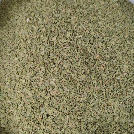 亳州茴香 小茴香 调味大料