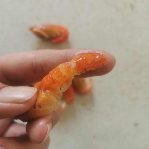 湛江小龙虾
