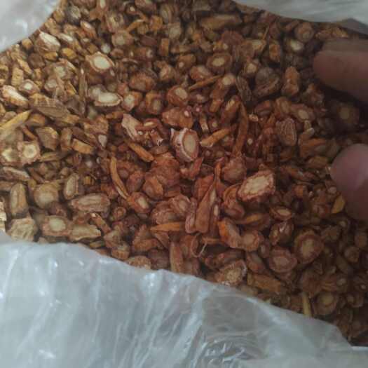 陇西县水防风片