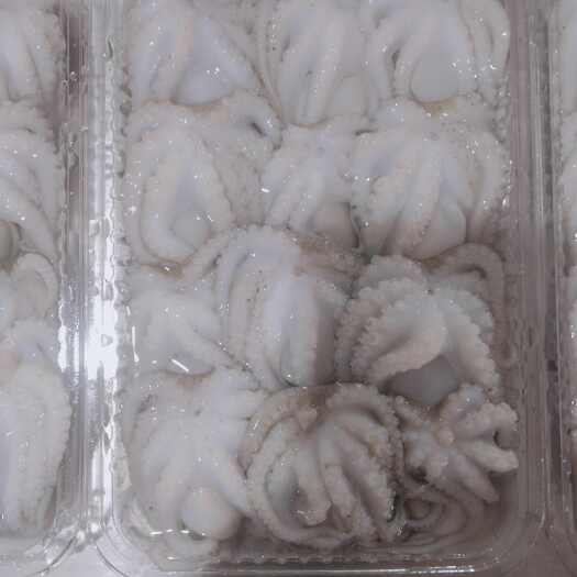 北海北海盐磨《八爪》去肚、去墨