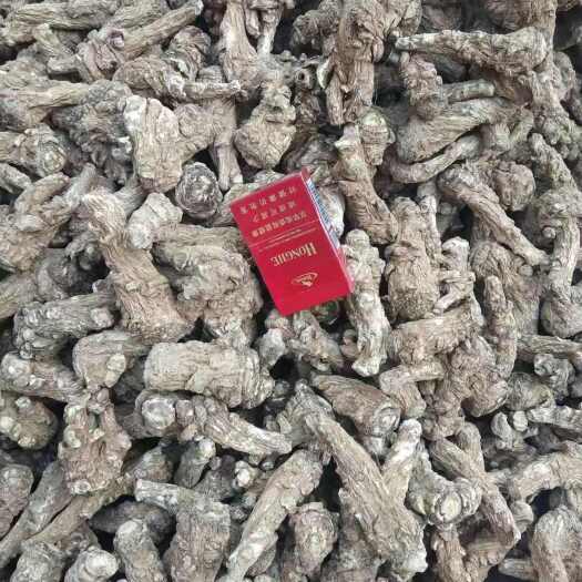 剑川县当归头普货货，个子，云南货，产地直批