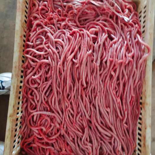 郑州鹅肠，纯鹅肠，屠宰场发货，解冻就能用