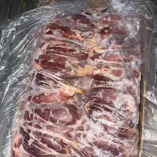 南宁200厂排腱子大厂货