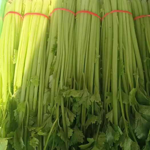 聊城精品香芹