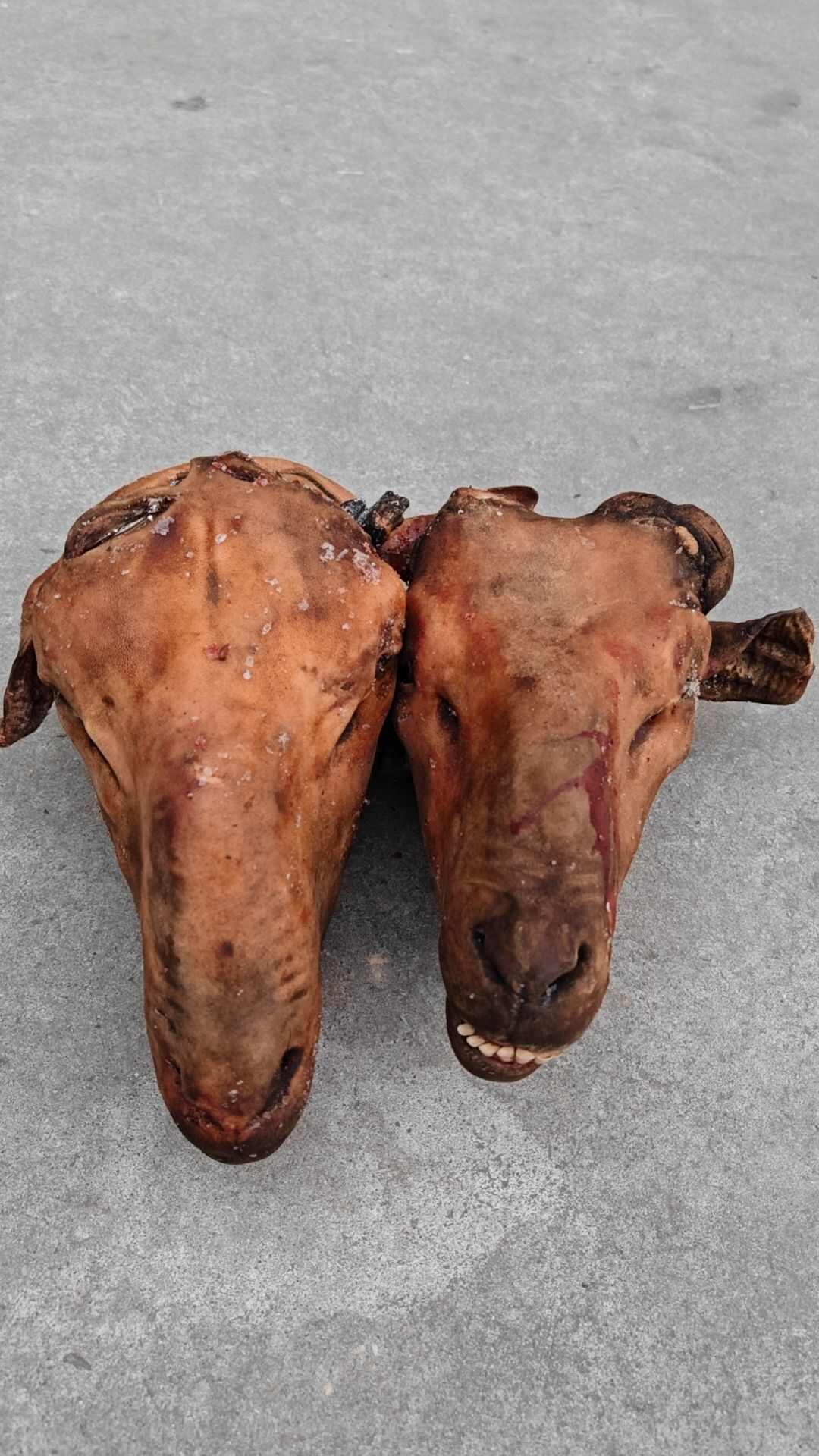 精品火烧羊头