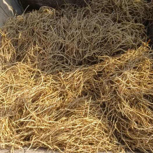 岑巩县辛辛苦苦种了10亩地的鱼腥草 现在卖不出去 有哪个老板收购吗
