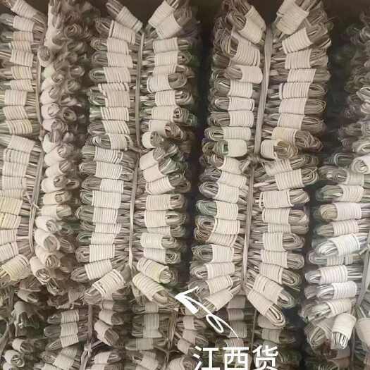 广州灯芯草，灯芯球，江西货和广东货，欢迎咨询！