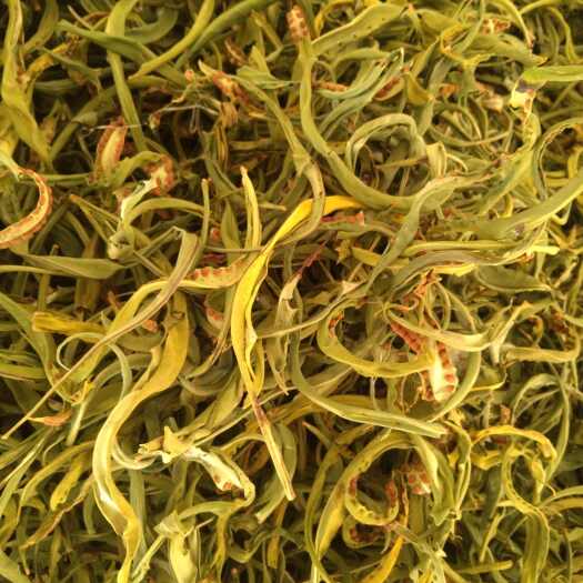 维西县大叶化石草：